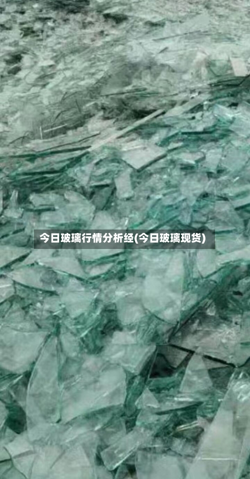 今日玻璃行情分析经(今日玻璃现货)