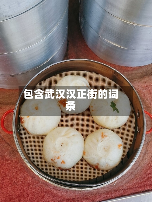 包含武汉汉正街的词条