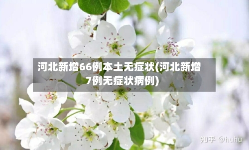 河北新增66例本土无症状(河北新增7例无症状病例)