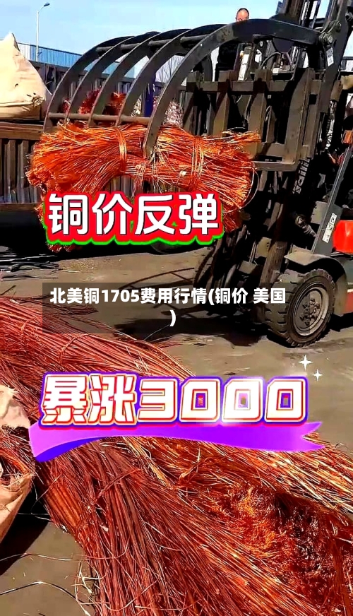 北美铜1705费用行情(铜价 美国)