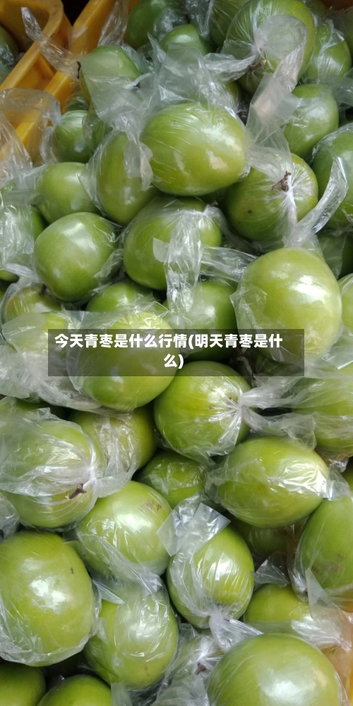今天青枣是什么行情(明天青枣是什么)