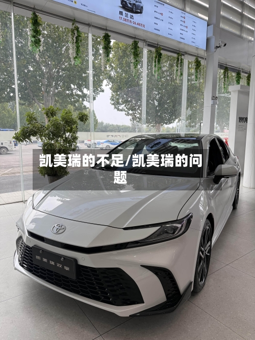 凯美瑞的不足/凯美瑞的问题