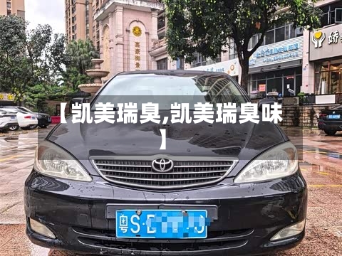 【凯美瑞臭,凯美瑞臭味】