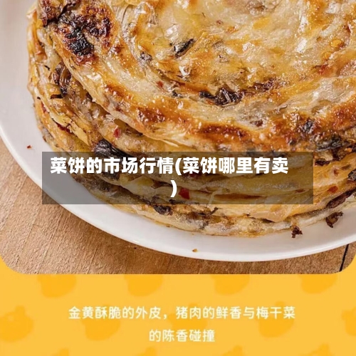 菜饼的市场行情(菜饼哪里有卖)