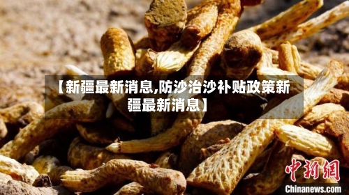 【新疆最新消息,防沙治沙补贴政策新疆最新消息】