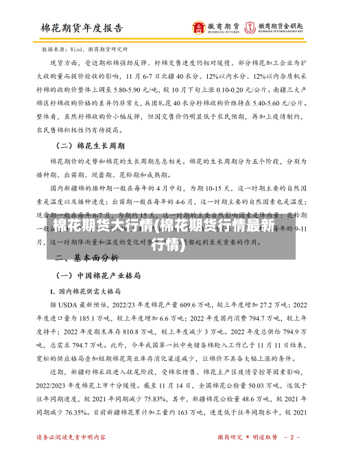 棉花期货大行情(棉花期货行情最新行情)