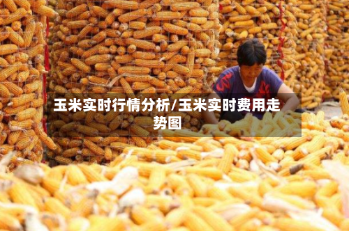 玉米实时行情分析/玉米实时费用走势图