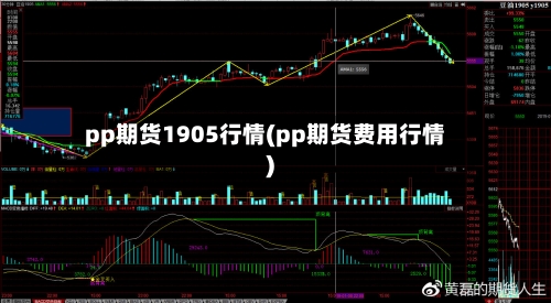 pp期货1905行情(pp期货费用行情)