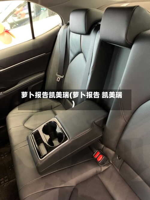 萝卜报告凯美瑞(萝卜报告 凯美瑞)