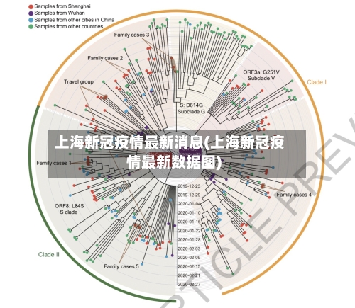 上海新冠疫情最新消息(上海新冠疫情最新数据图)
