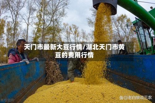 天门市最新大豆行情/湖北天门市黄豆的费用行情