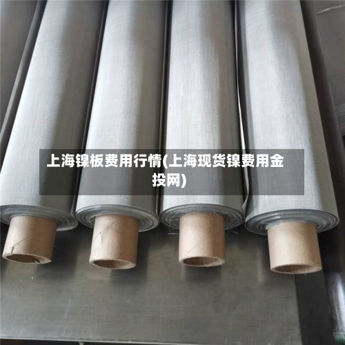 上海镍板费用行情(上海现货镍费用金投网)