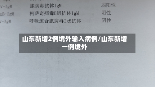 山东新增2例境外输入病例/山东新增一例境外